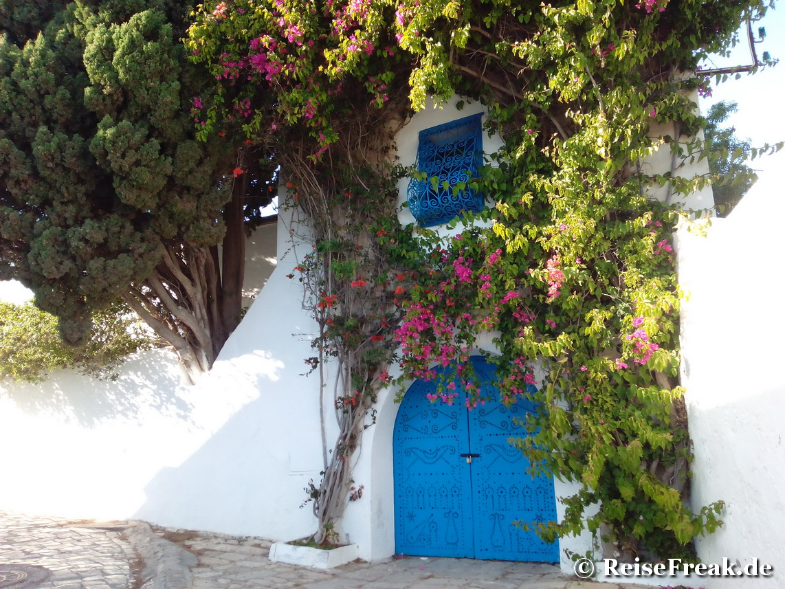 Tunesien: Tore, Türen und Portale. Hauptsache bunt