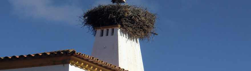 Portugal Titelbild - Storch