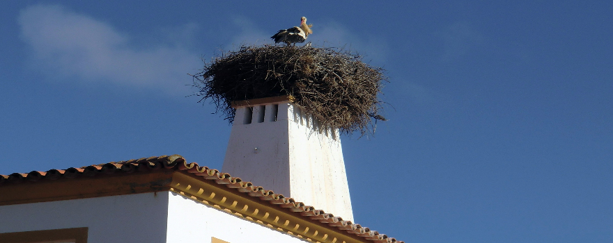 Portugal, Alentejo: Küstenwanderung, Korkeichen-Farm und Weinprobe