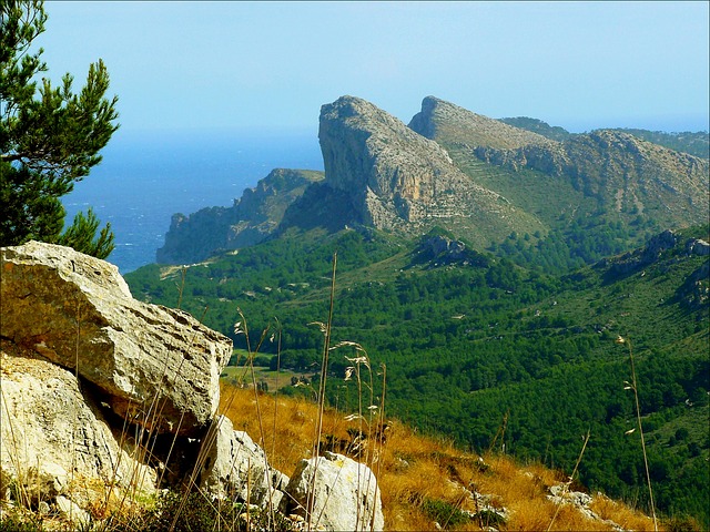 Mallorca. Foto cocoparisienne (Pixabay)