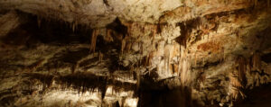 Höhle von Postojna - Postojnska jama Slowenien