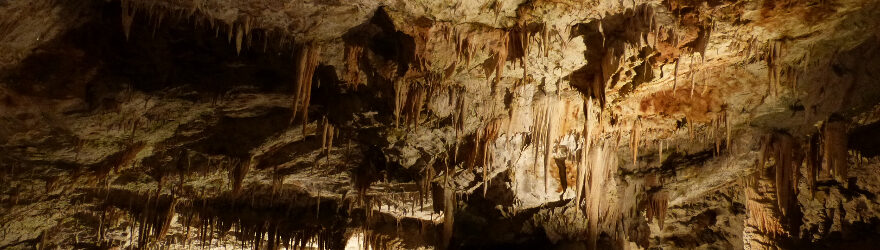 Höhle von Postojna - Postojnska jama Slowenien