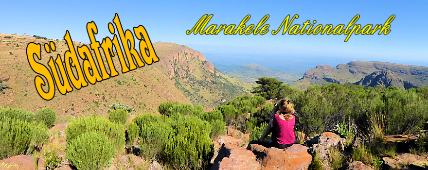 Safari in Südafrika, malariafrei: Marakele Nationalpark, Waterberg