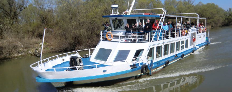 Bootsfahrt im Donaudelta bei Tulcea, Rumänien