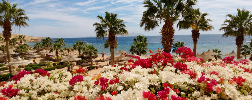 Ägypten, Sinai, Sharm el Sheikh: wenn Du schnorcheln willst, such nicht weiter