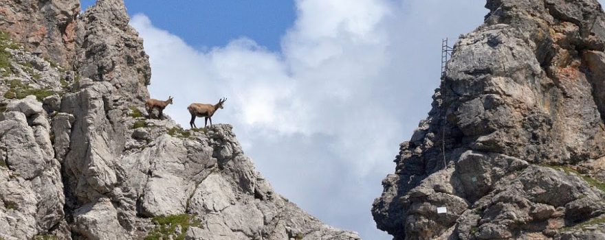 Nein, heute kein Klettersteig! – Bild Alwin Pelzer