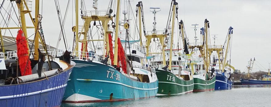 Texel, Krabbenfischer, Hafen Oudeschild