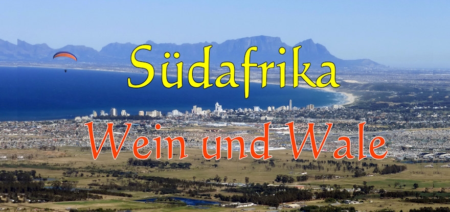 Südafrika: Meer, Wein und Wale. Eine Tour zwischen Reben und Ozean
