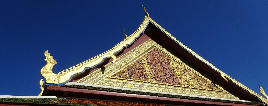 Teneriffa: Pinguine, Orcas und schroffe Felsen