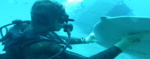 Titelbild Reisebericht Lanzarote U-Boot