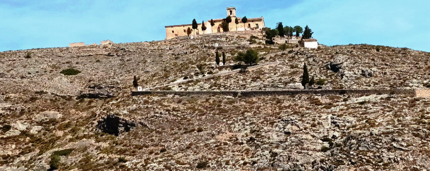 Spanien: ein Himmel voller Orangen &#8211; oder wie die Apfelsine in die Flasche kommt