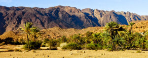 Marokko-Sahara-Atlas-Berge - Foto copyright Markus Steiner - für Reisefreaks Reisemagazin