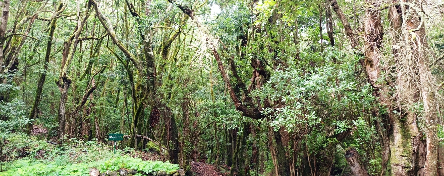 La Gomera Reisetipps: auf den Spuren von Hippies, Kolumbus und El Silbo La Gomera Reisetipps: auf den Spuren von Hippies, Kolumbus und El Silbo