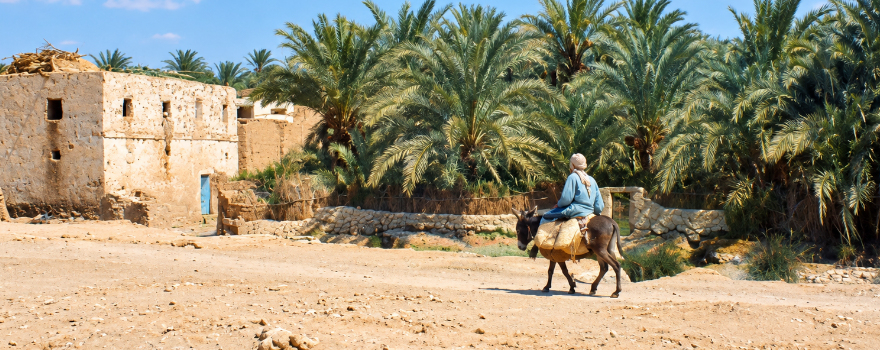 Ägypten (1) – Turbulentes Kairo, eiskalter Sinai und spektakuläre Wüstenfahrt Titelbild 2